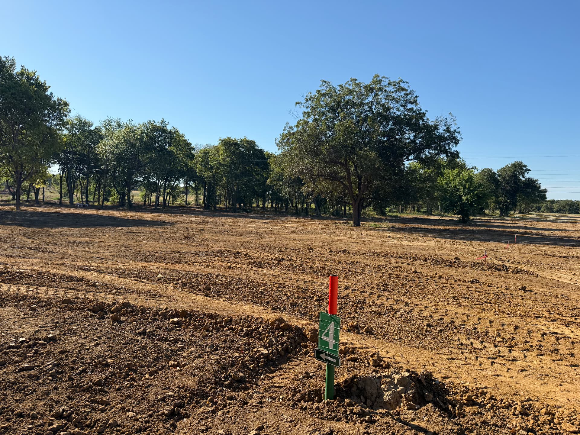 Second view of the trees on Lot 4 at The Summer Meadows