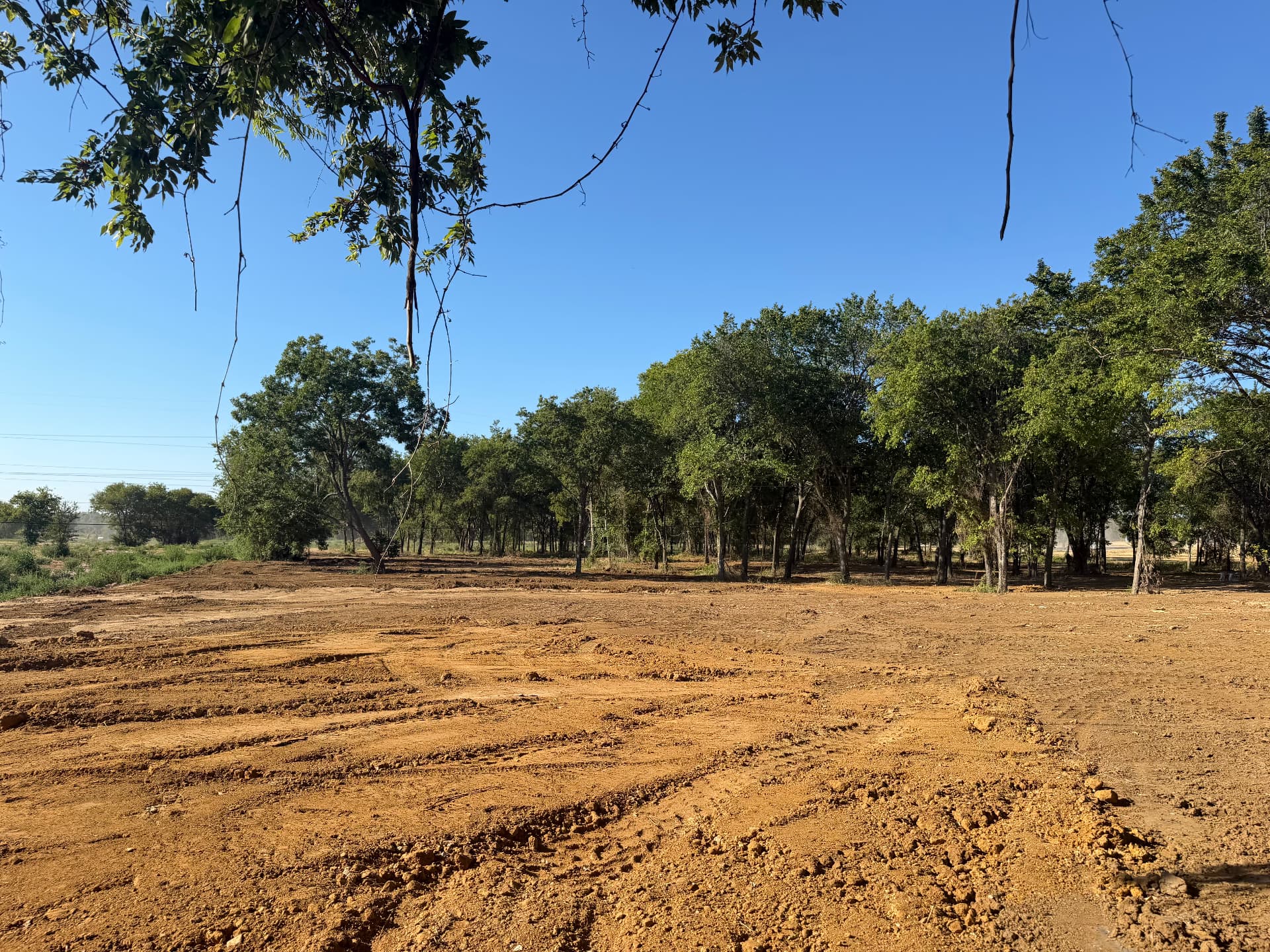 Fifth view across Lot 6 at The Summer Meadows