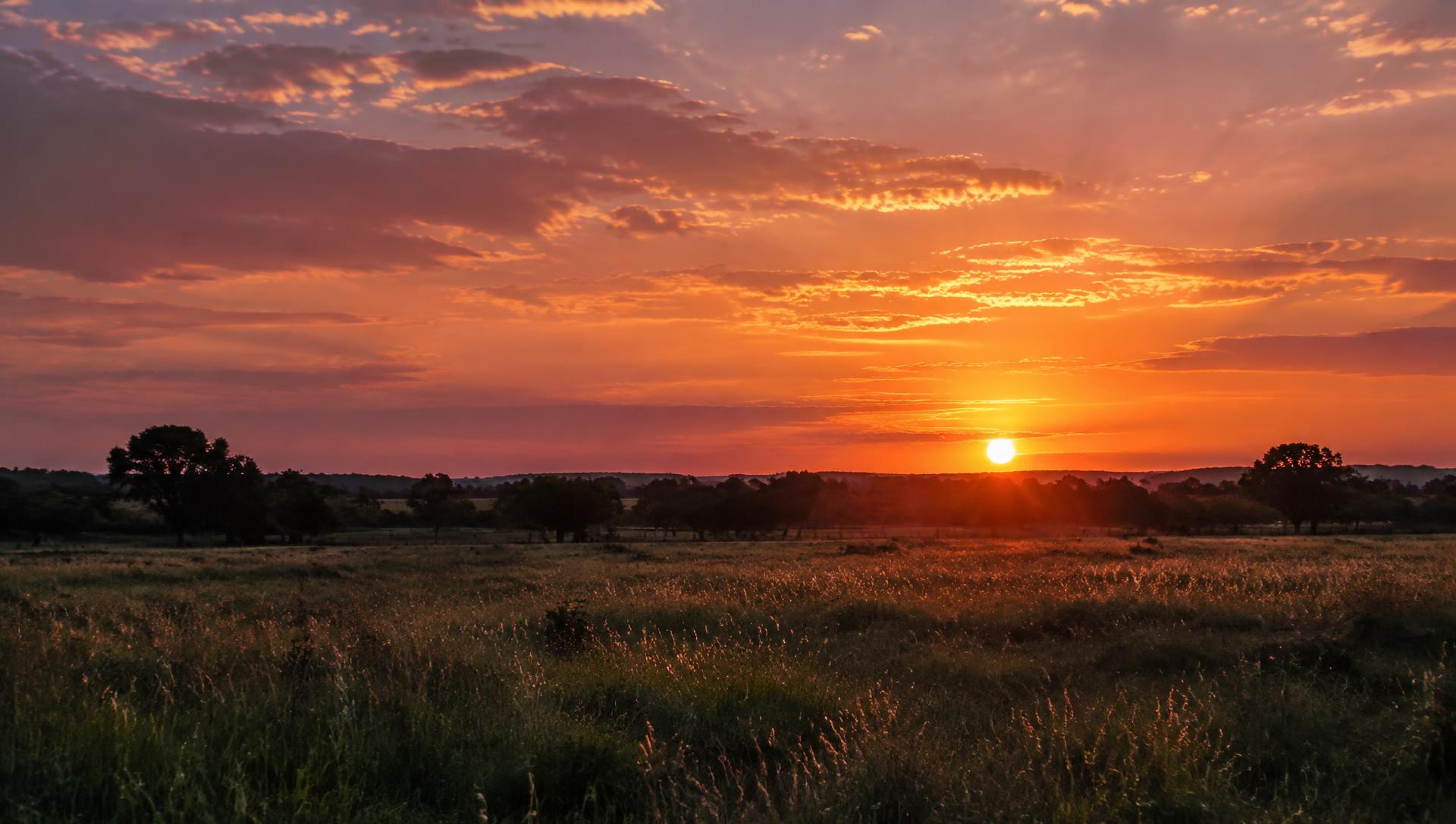 Sunset over open Texas grassland with a silhouetted treeline
