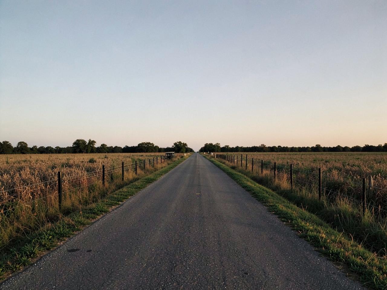 Quiet country road through open North Texas farmland
